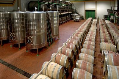 酒识 | 葡萄酒生产过程